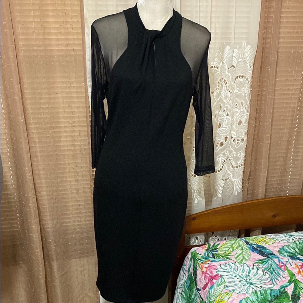 Elegant Black Sheer Sleeve Dress
